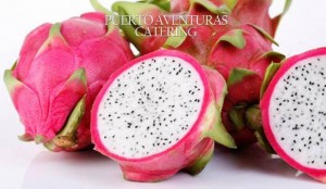 pitahaya1_l